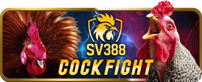 Cá cược các môn thể thao khác như Tennis, Bóng chuyền, Boxing tại mmo88 code